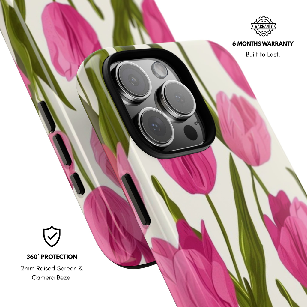 Tulipa