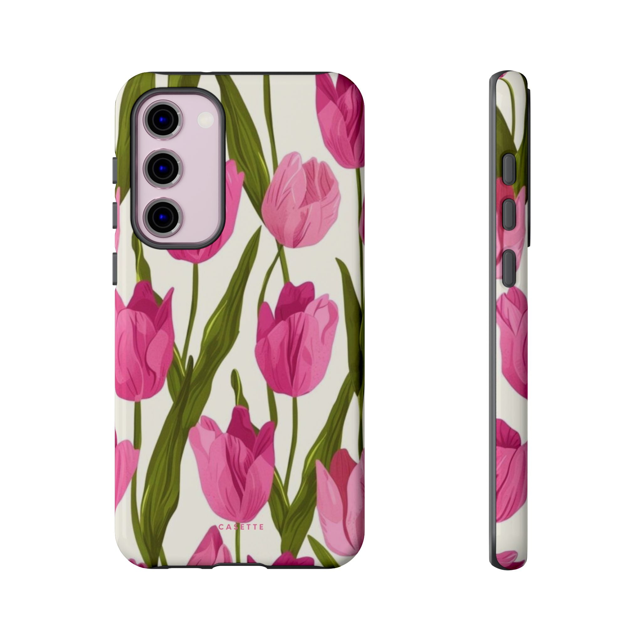 Tulipa