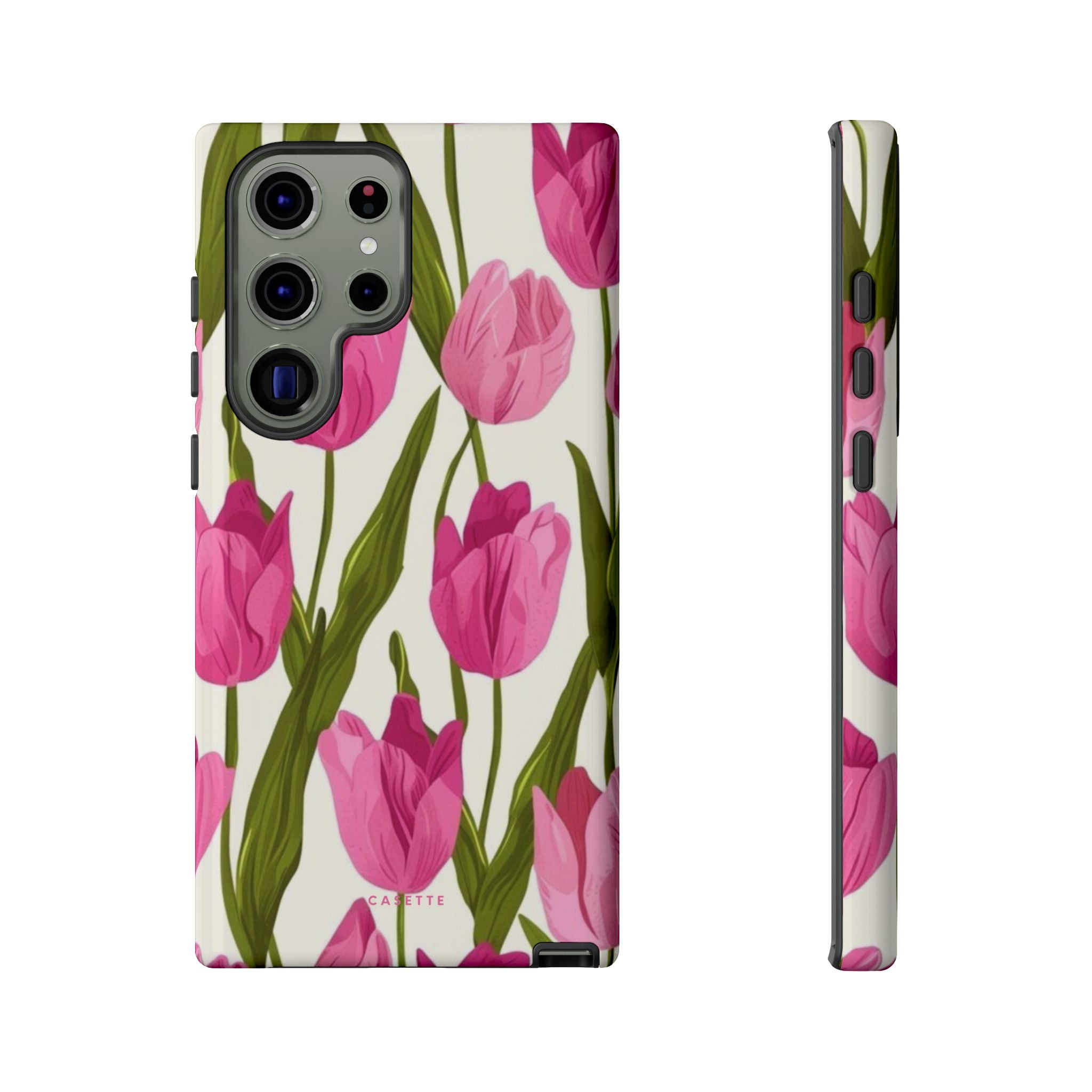 Tulipa
