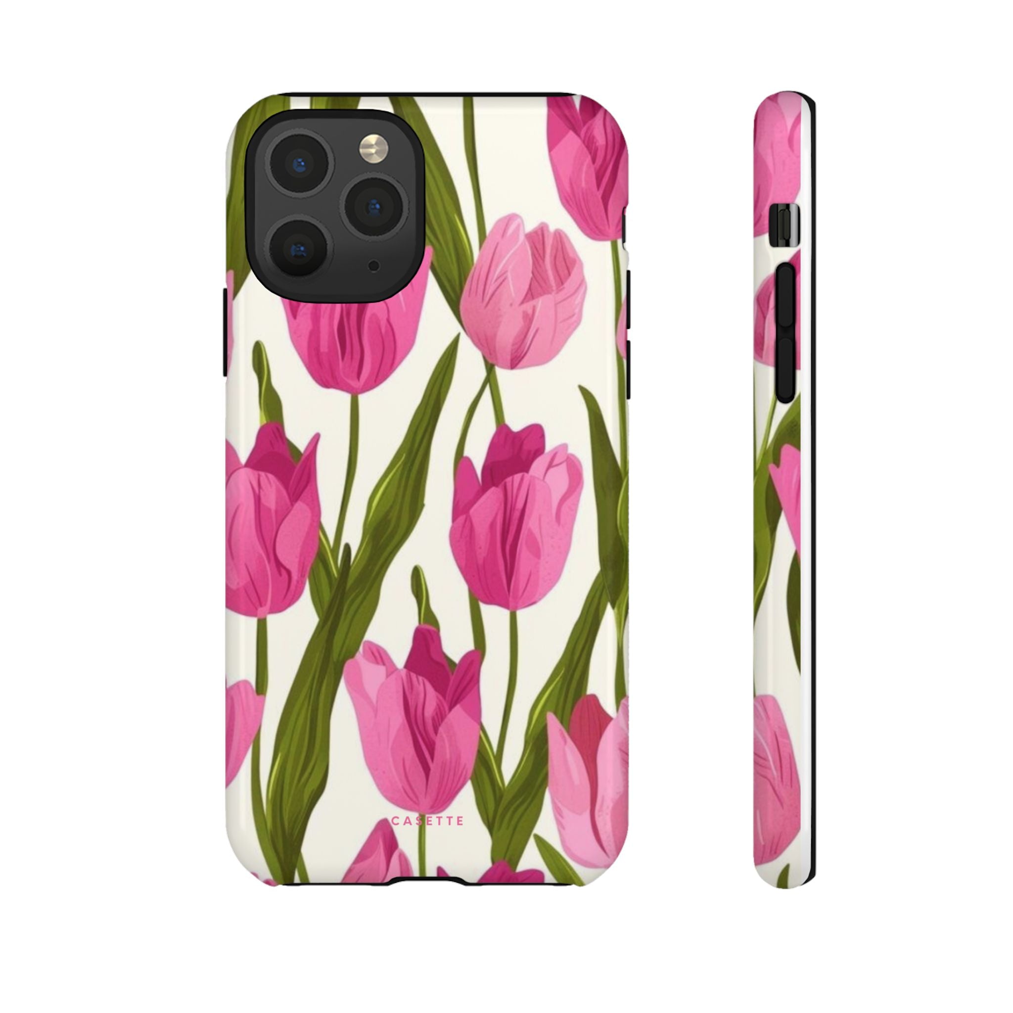 Tulipa