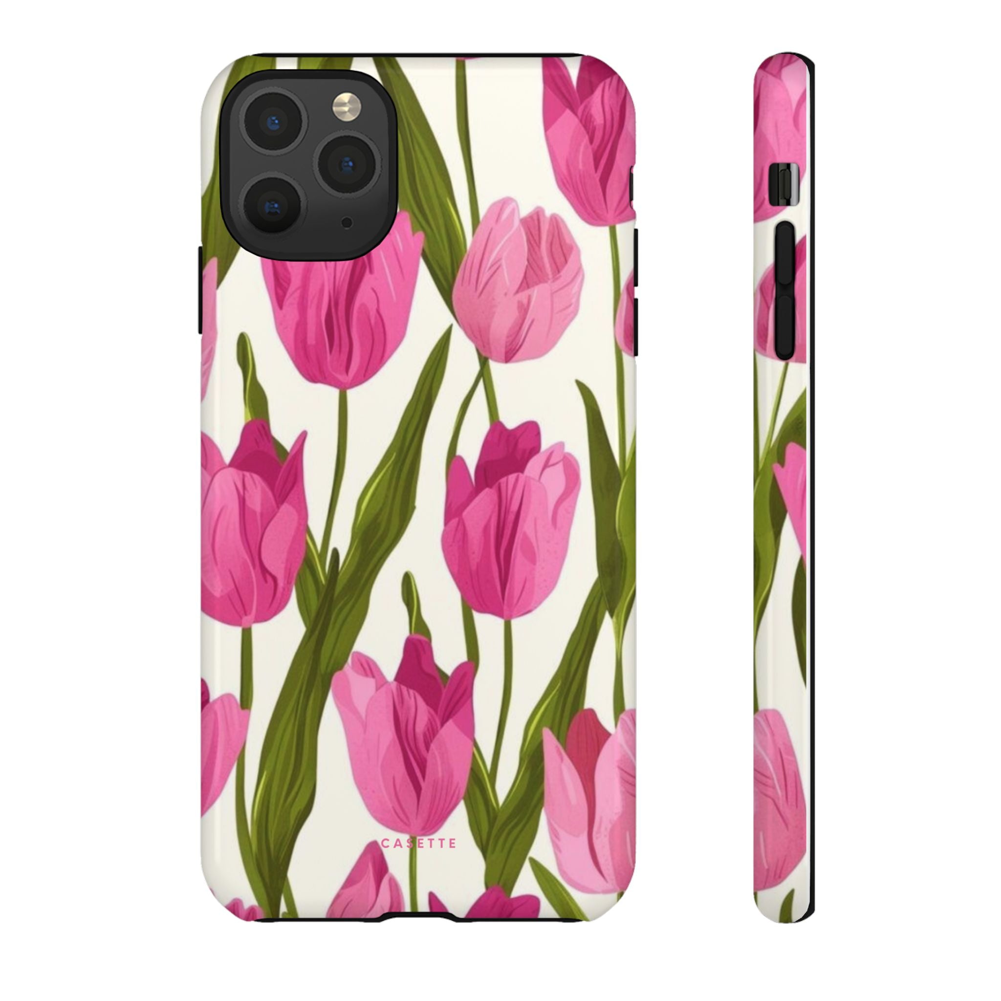 Tulipa