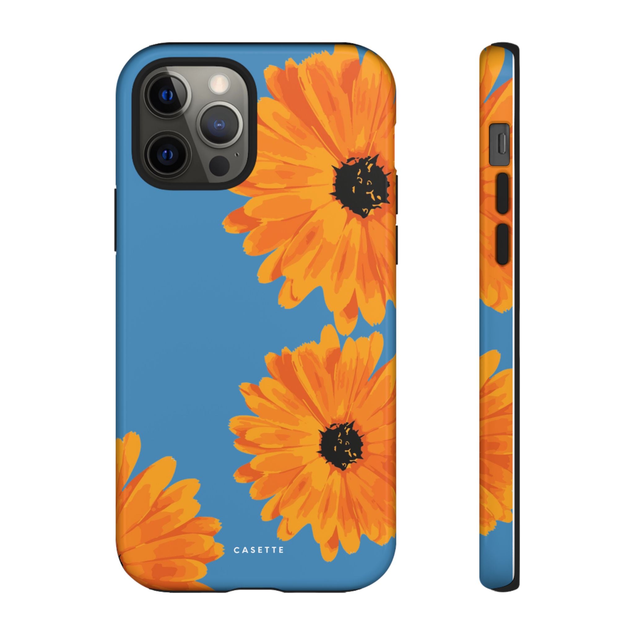 Sunflower Theory