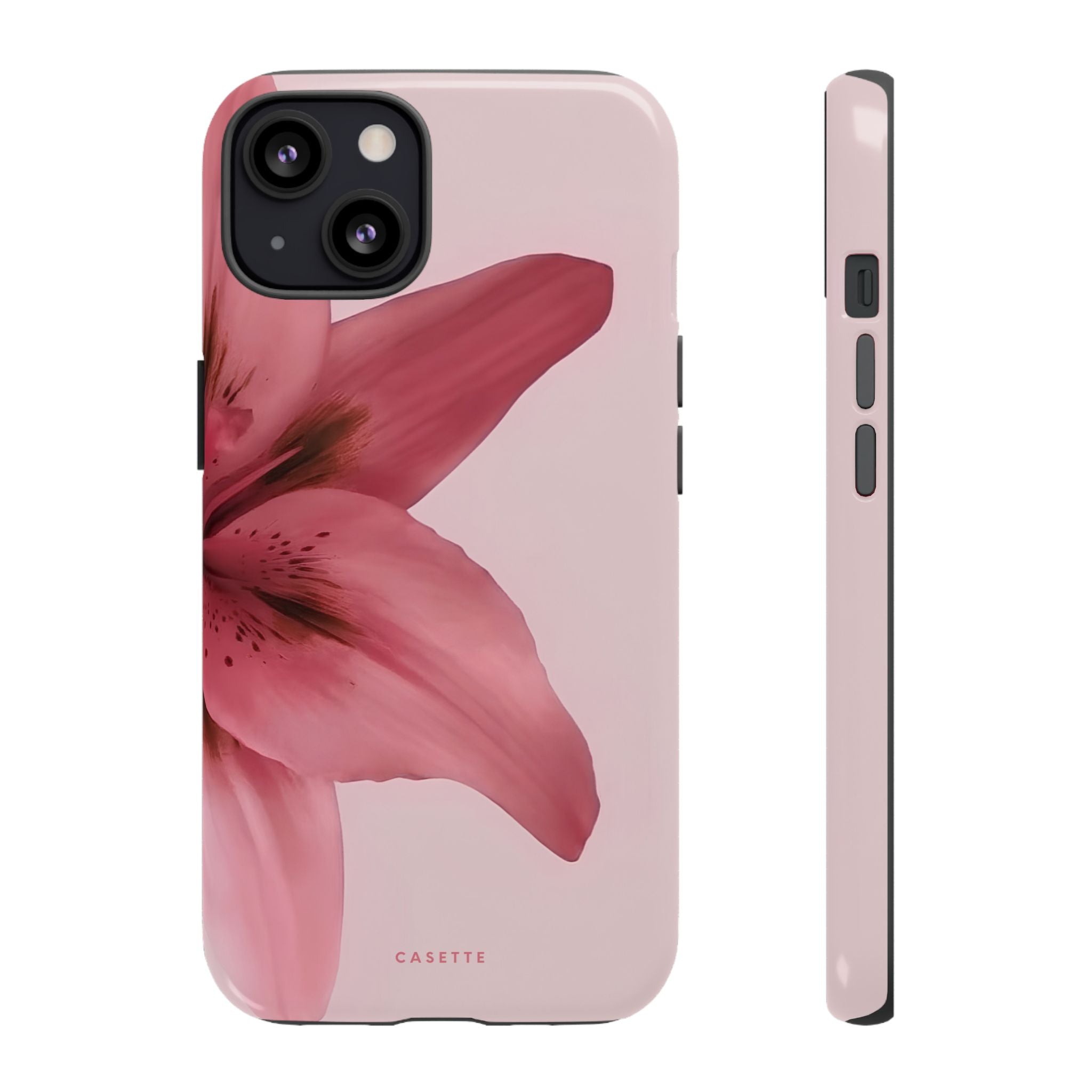 Lilium