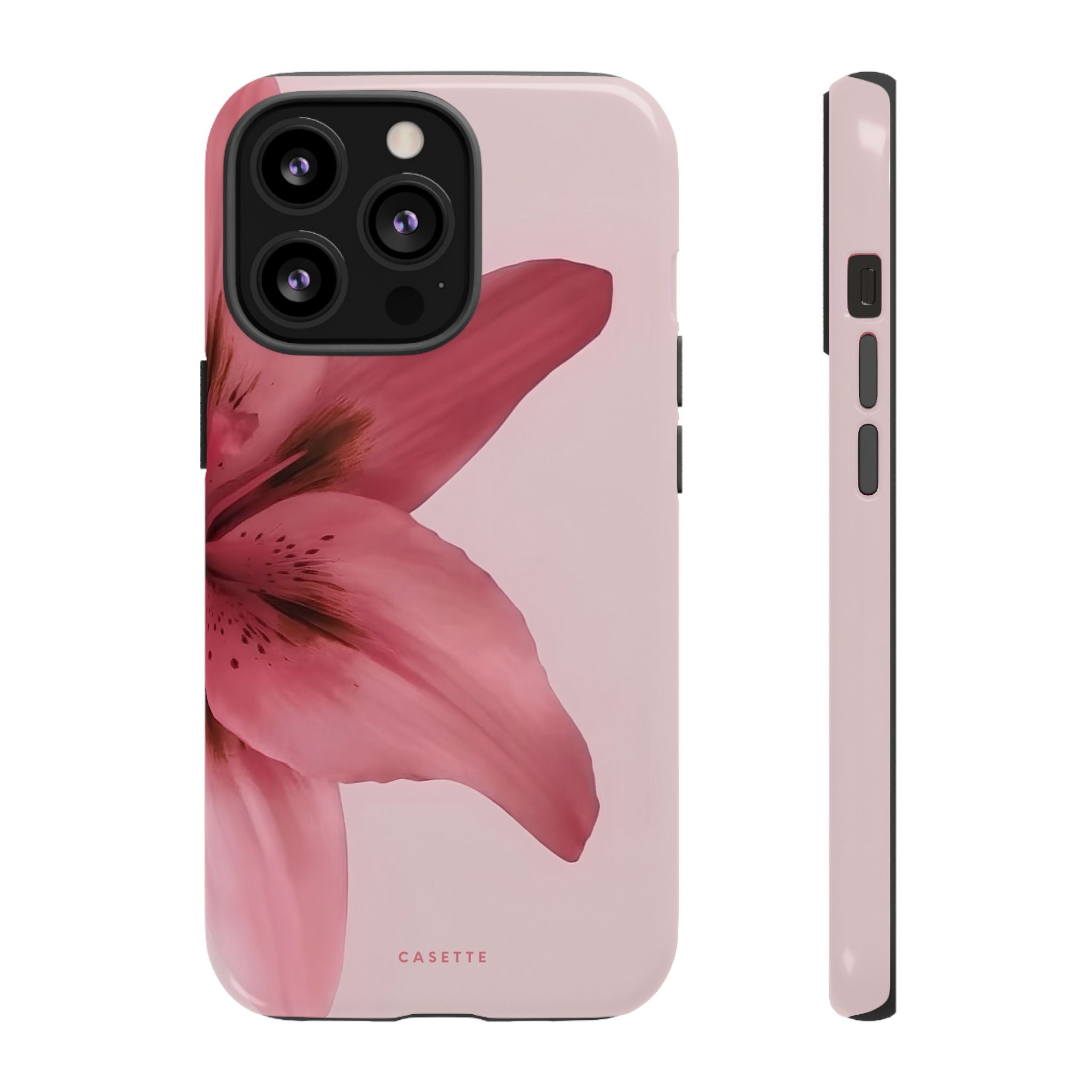 Lilium