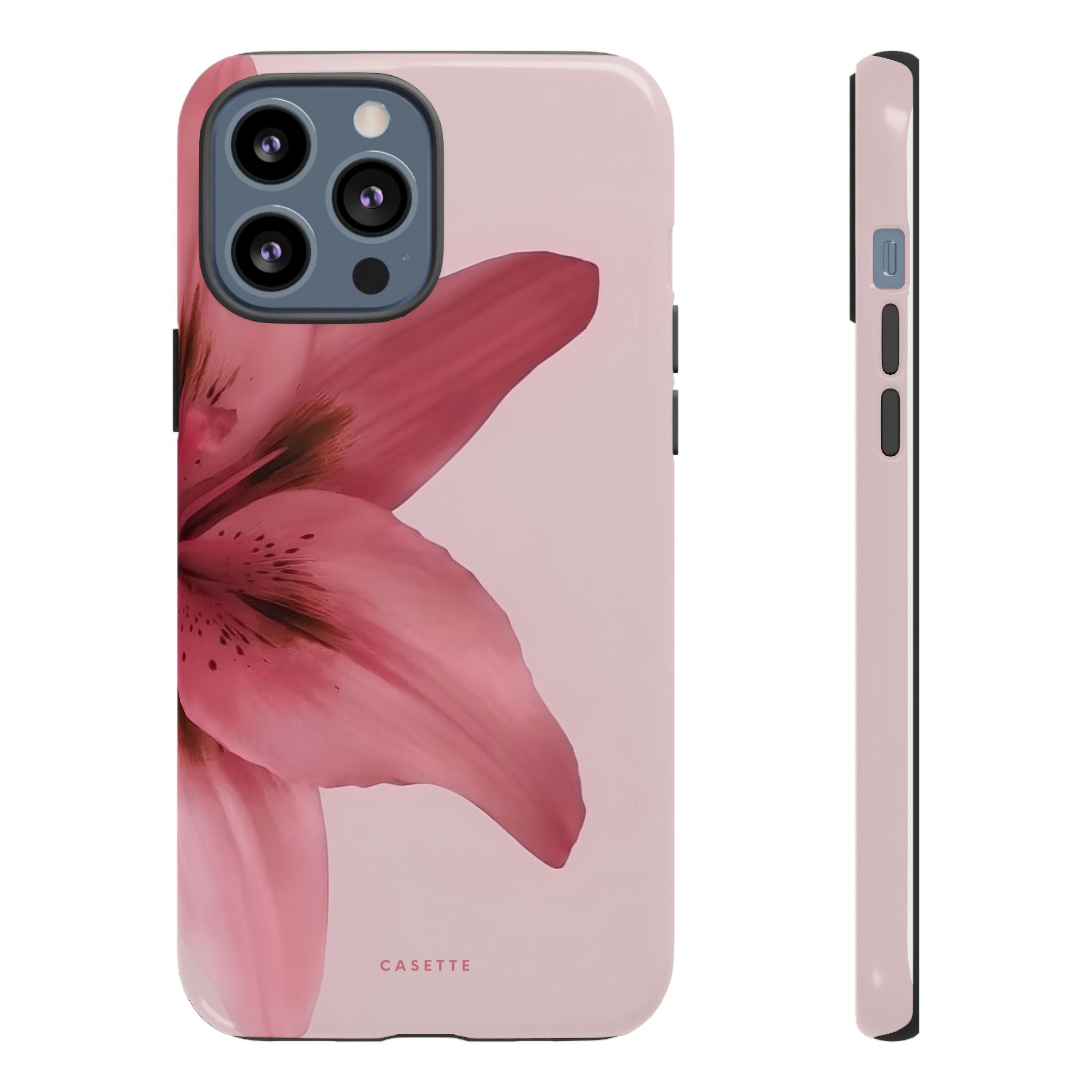 Lilium