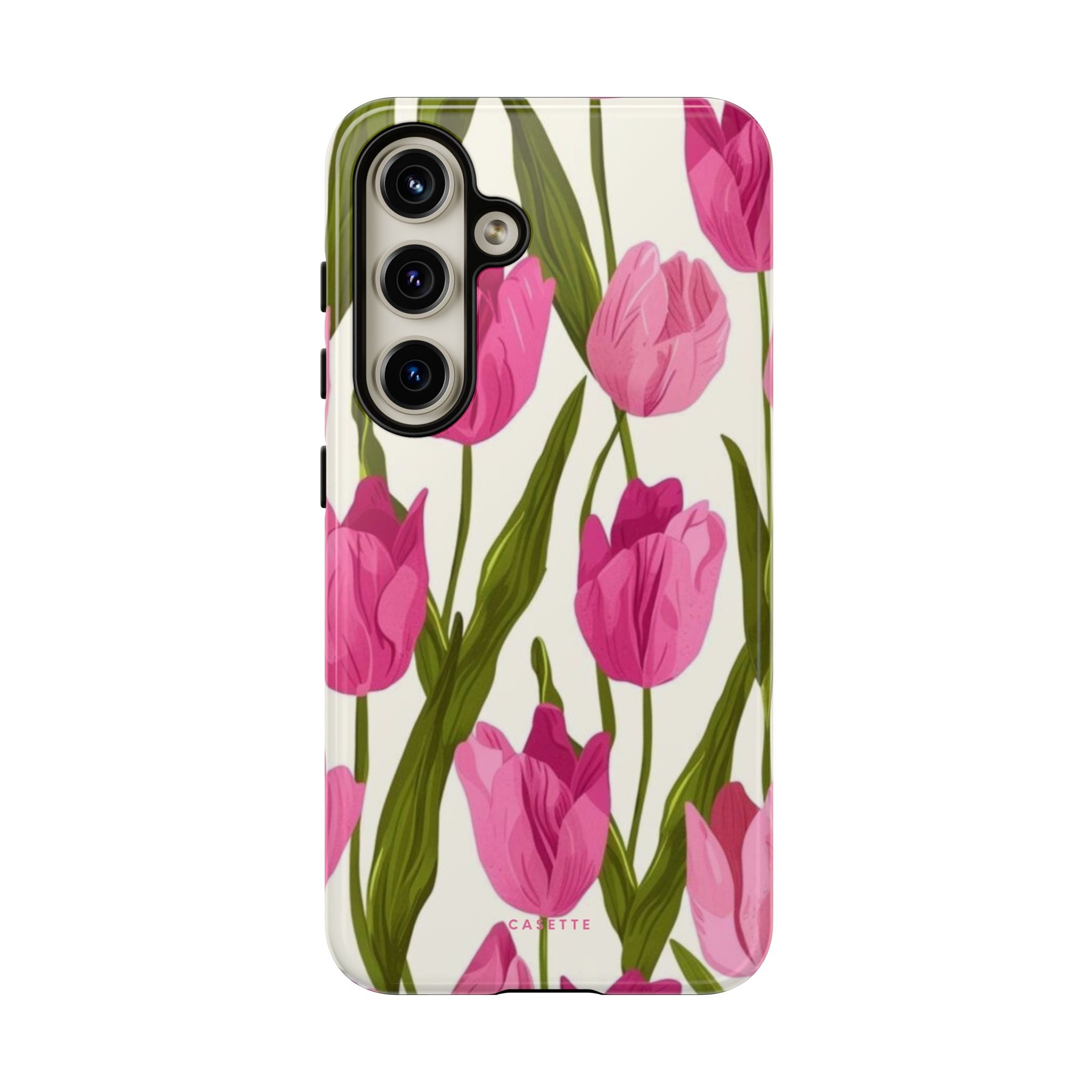 Tulipa
