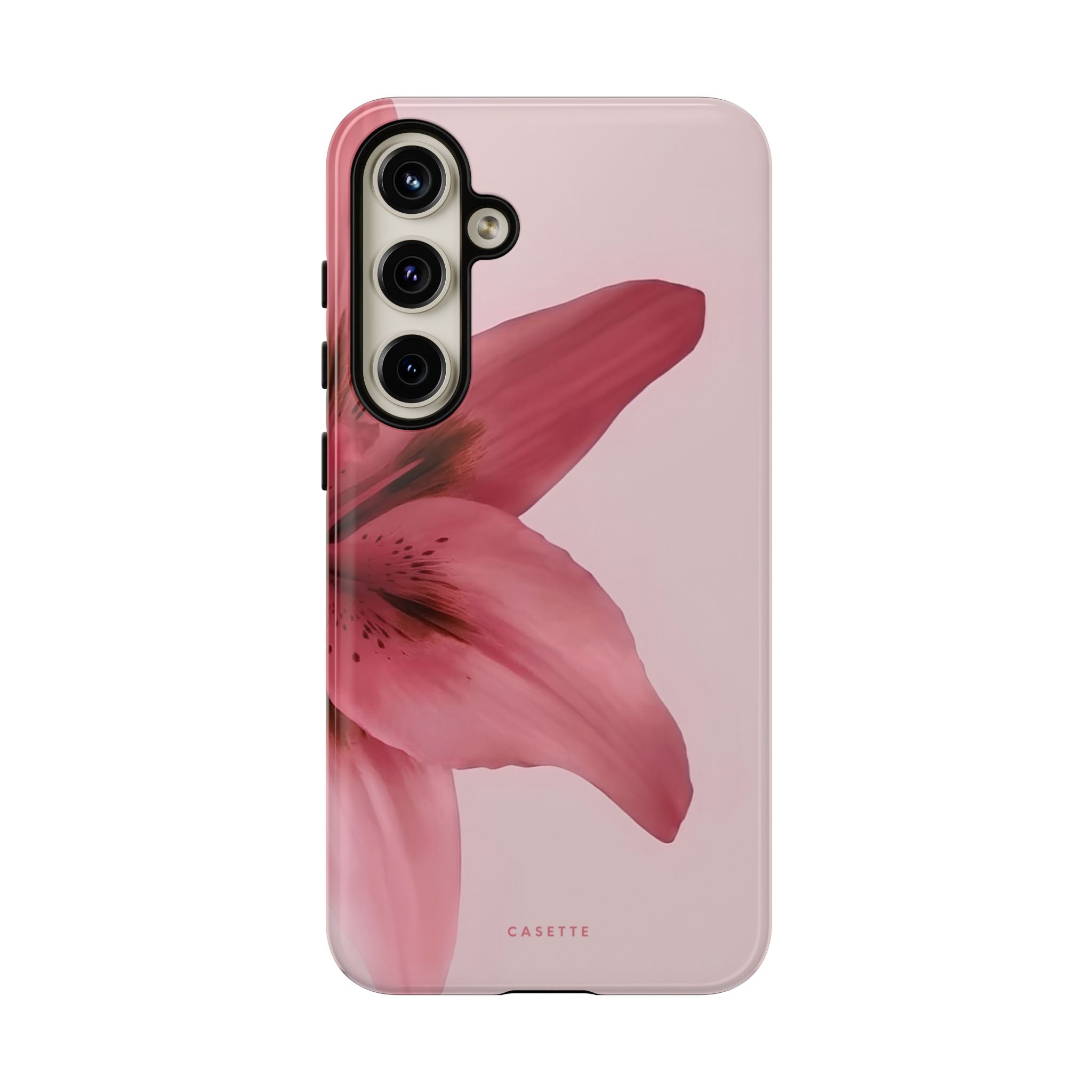 Lilium