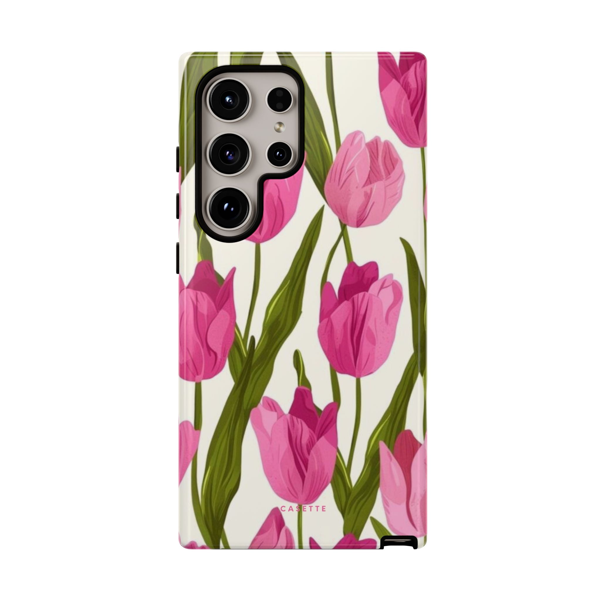 Tulipa