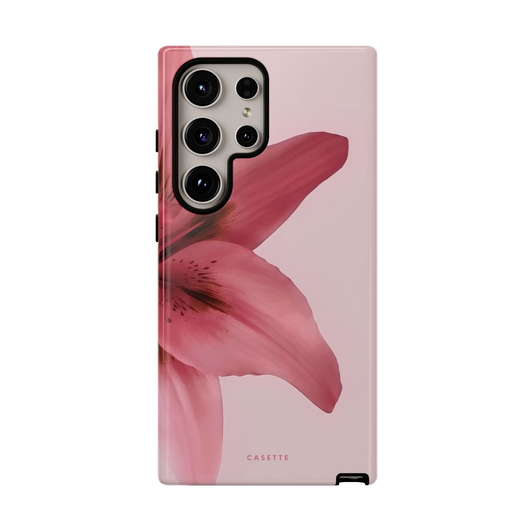 Lilium