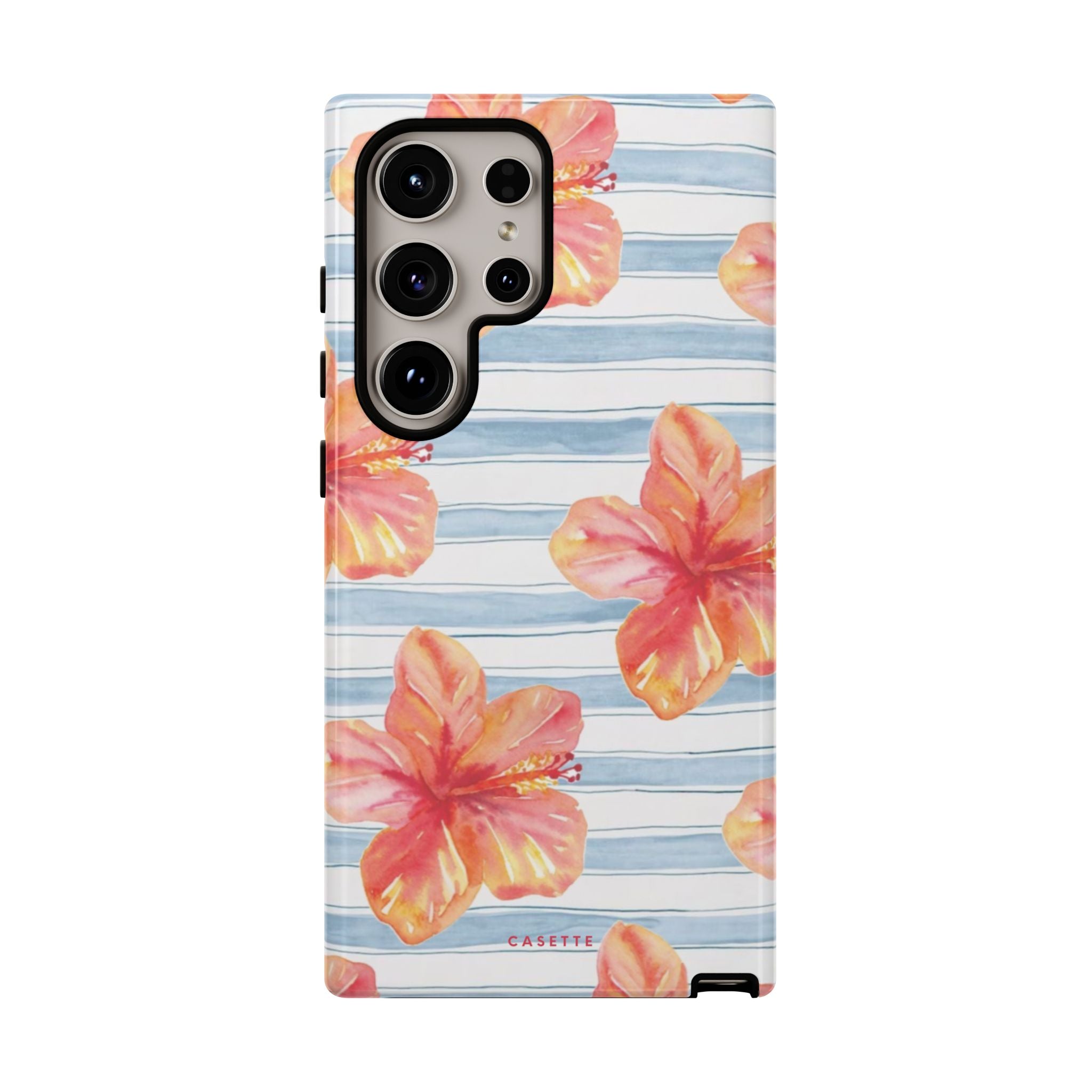 Hibiscus Haven