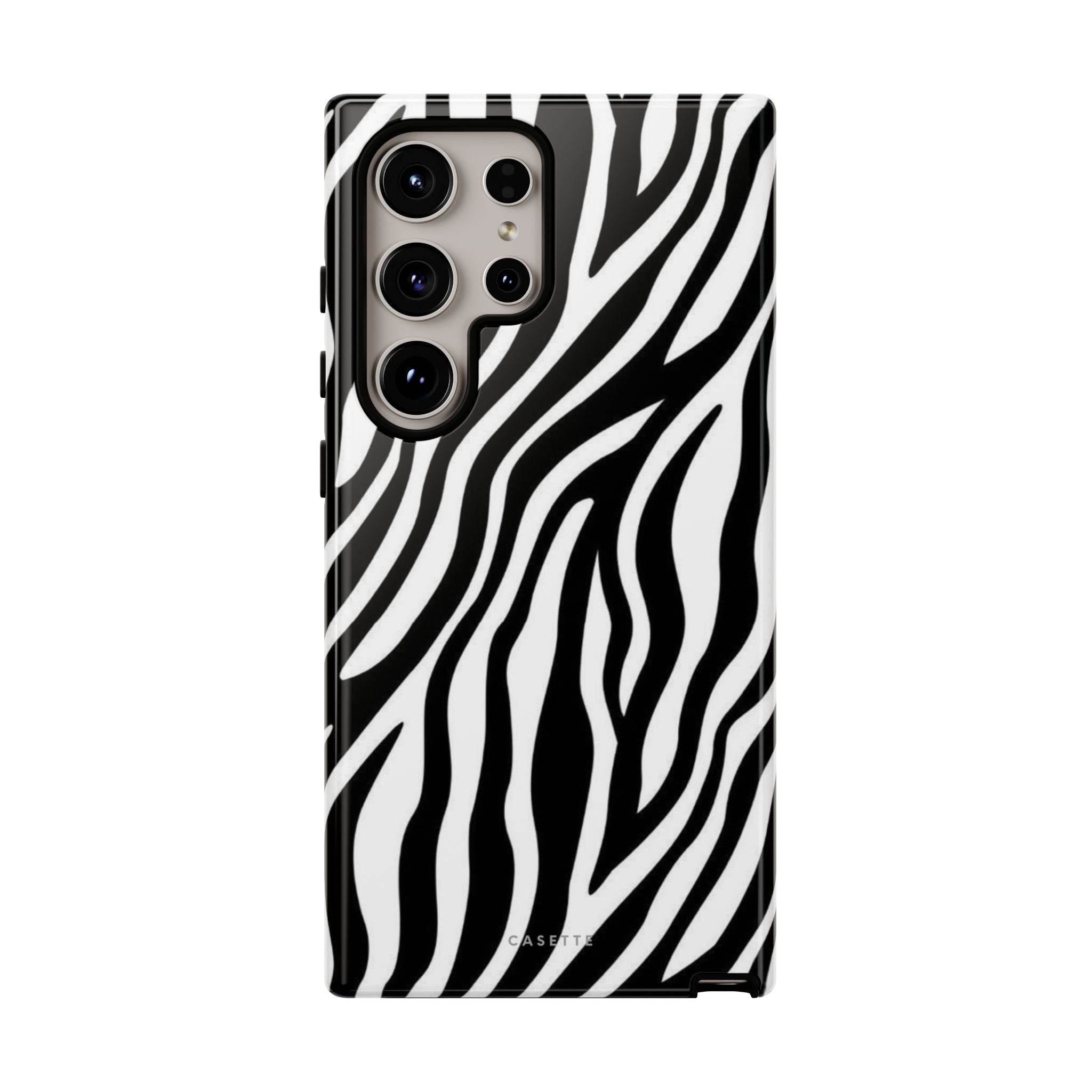 Zebra Era