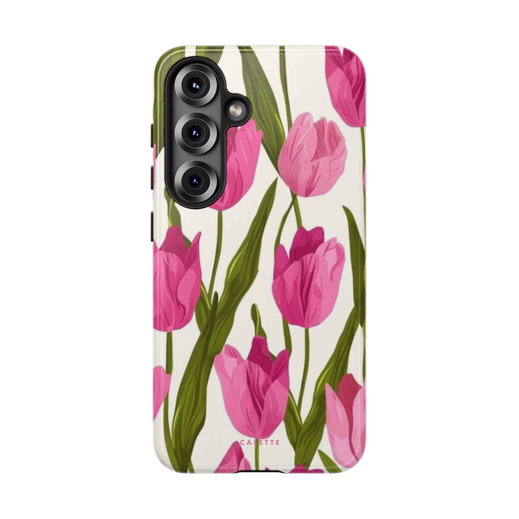 Tulipa