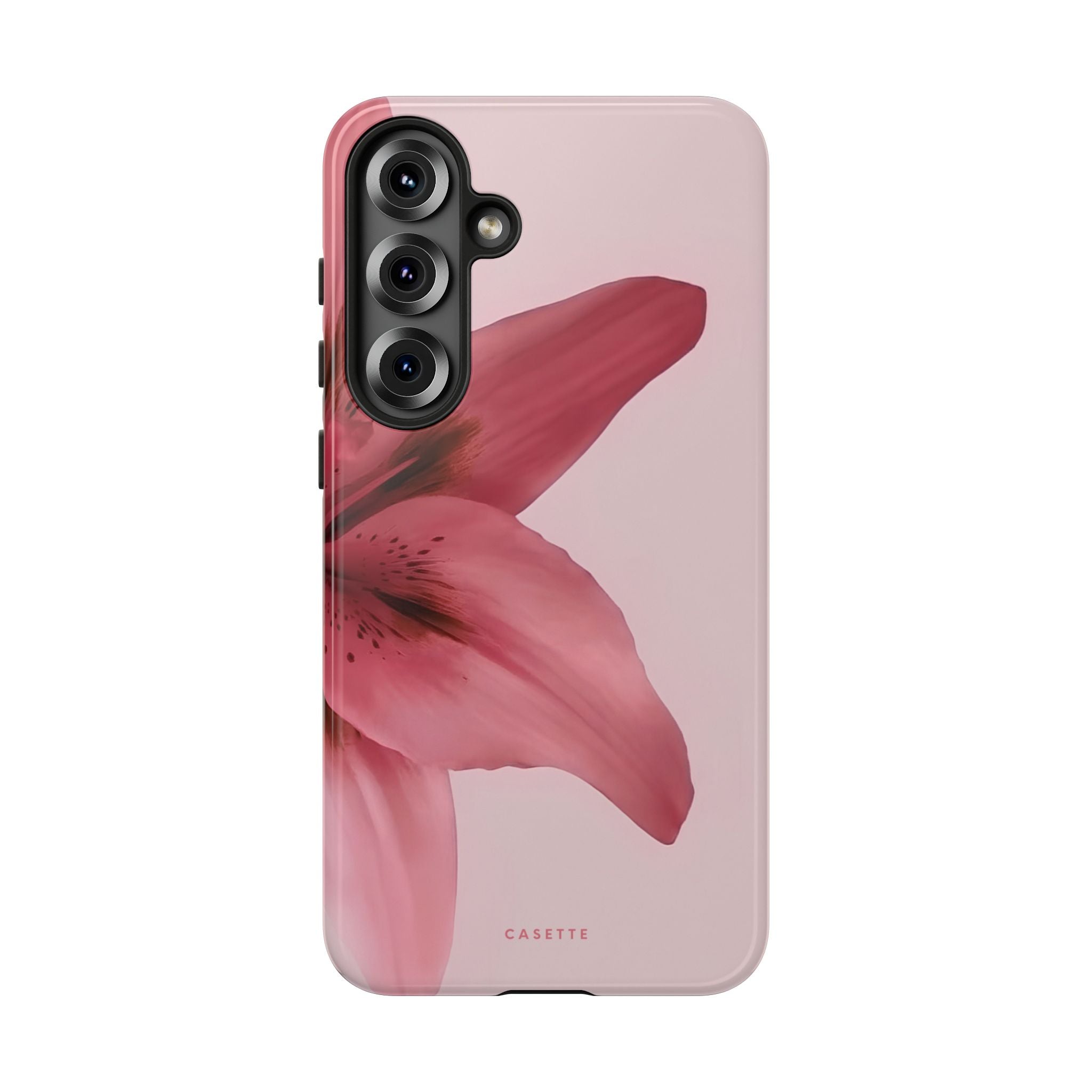 Lilium