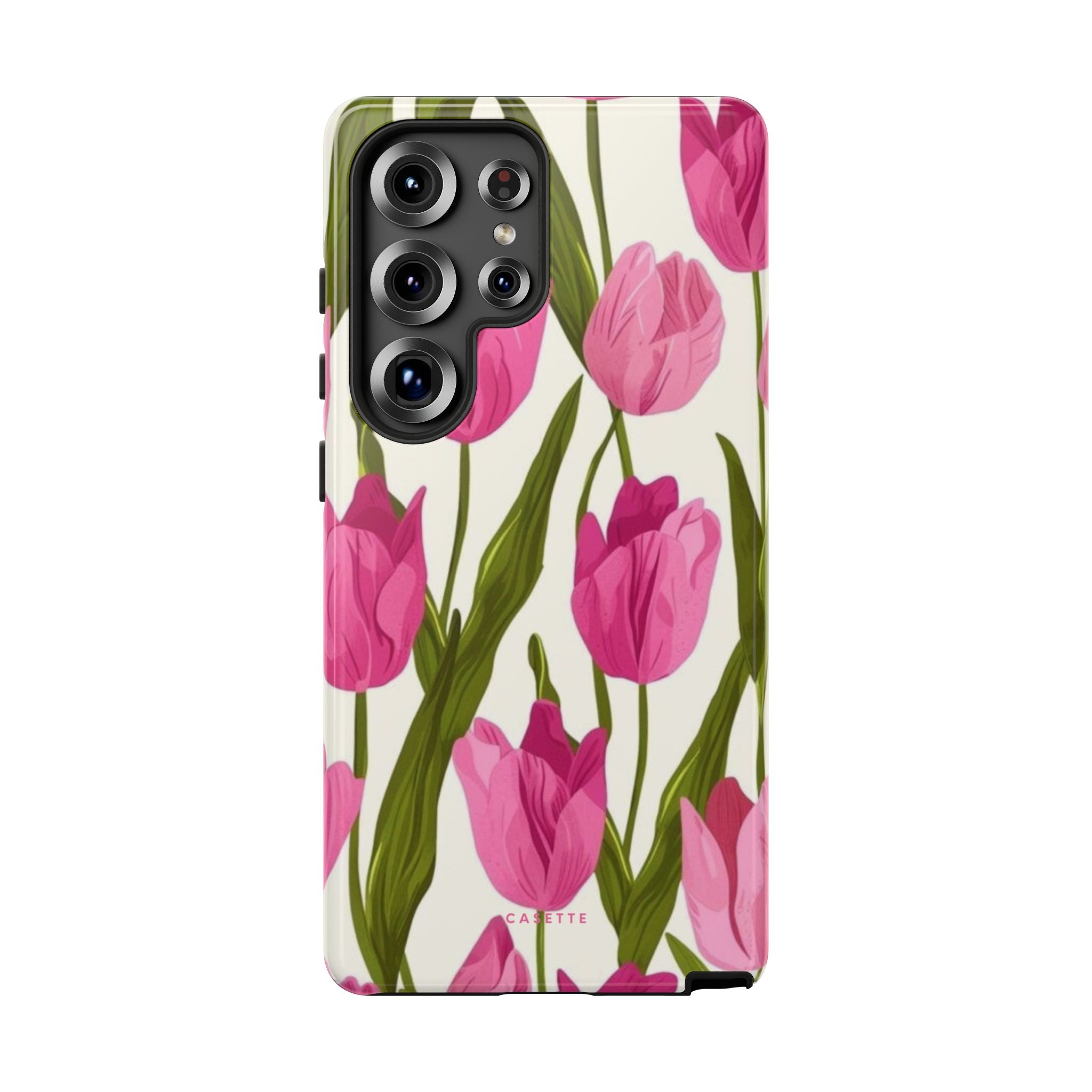 Tulipa