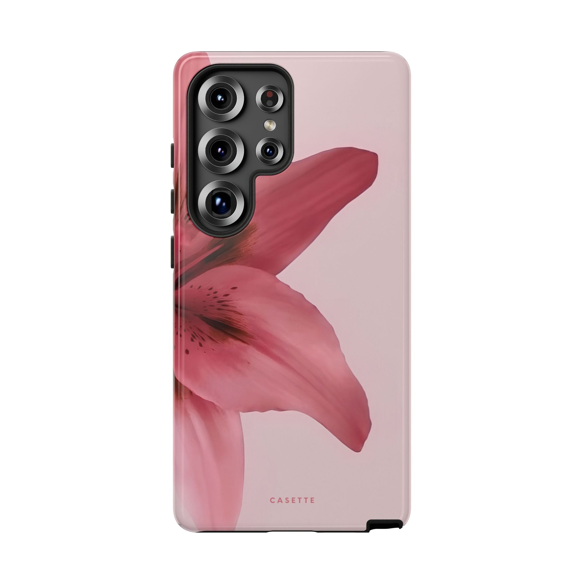 Lilium