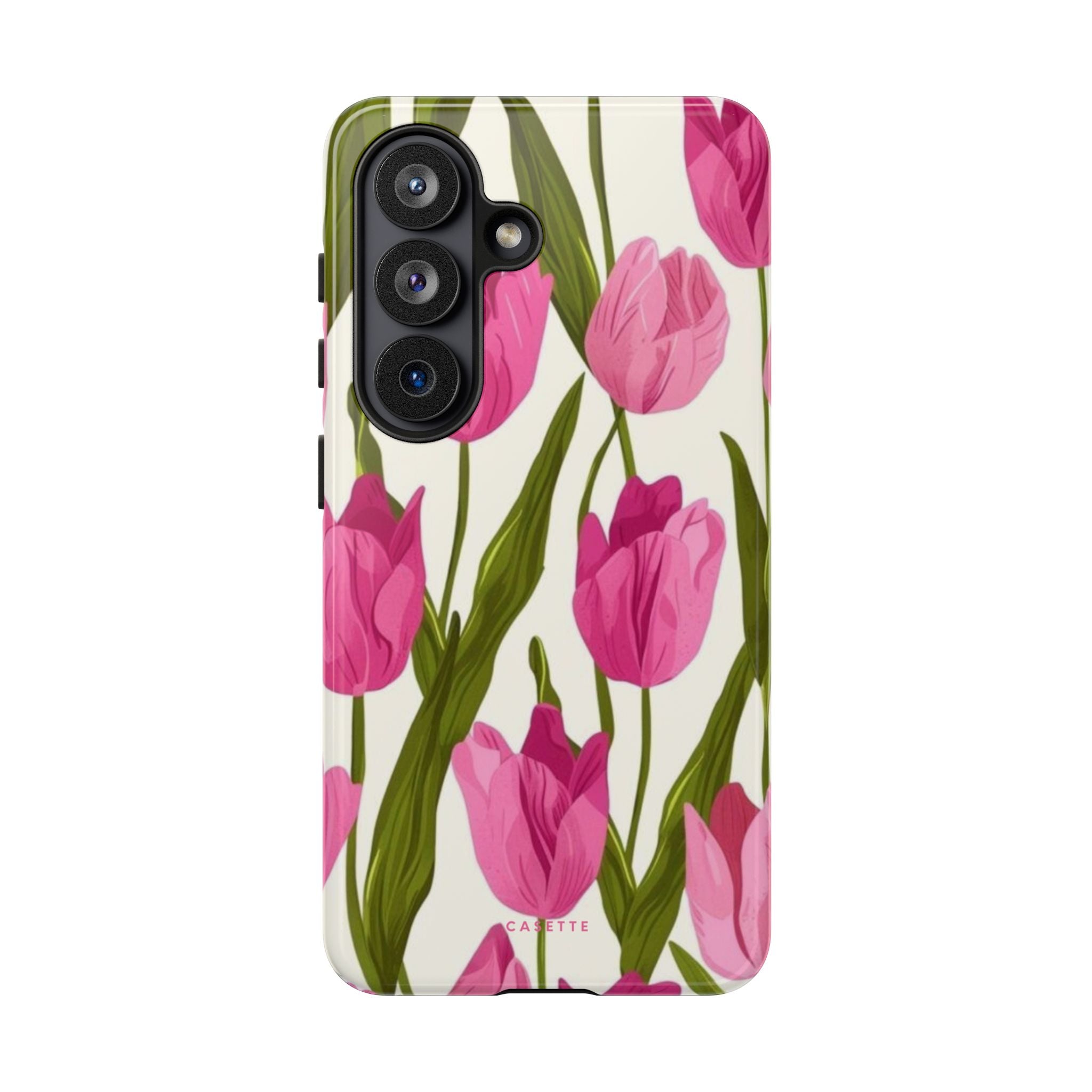 Tulipa