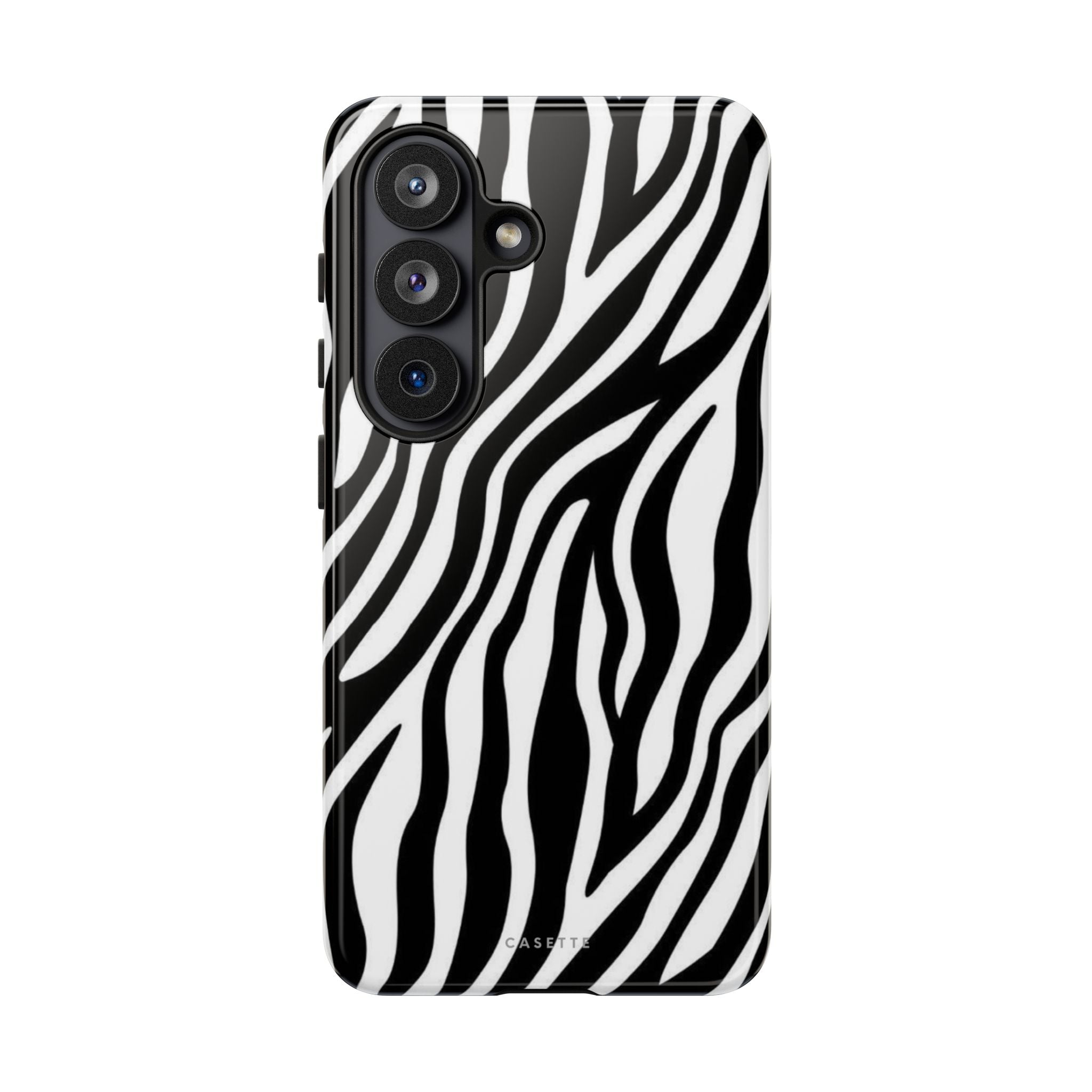 Zebra Era