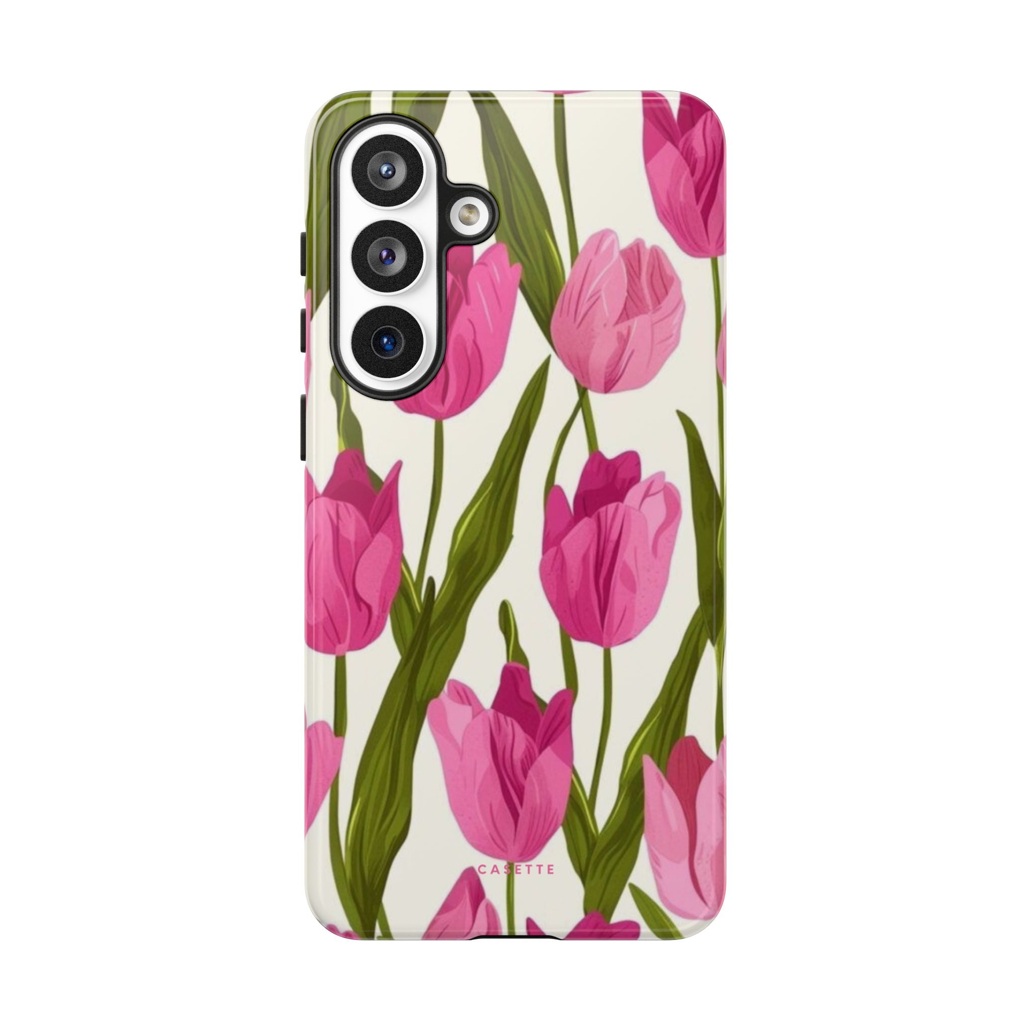 Tulipa