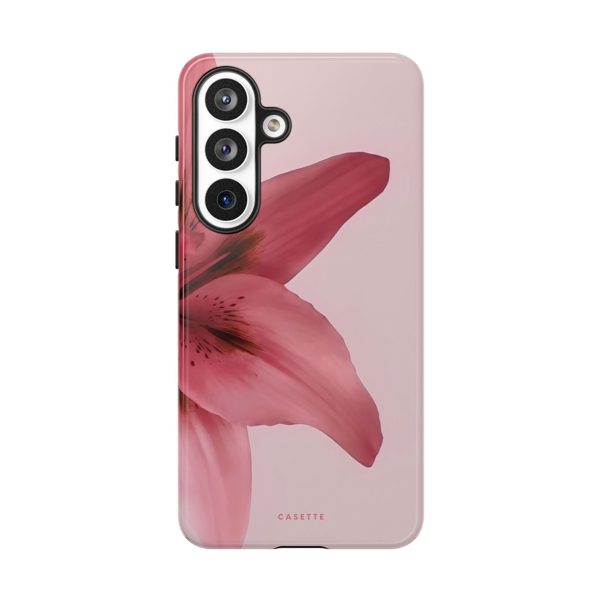 Lilium