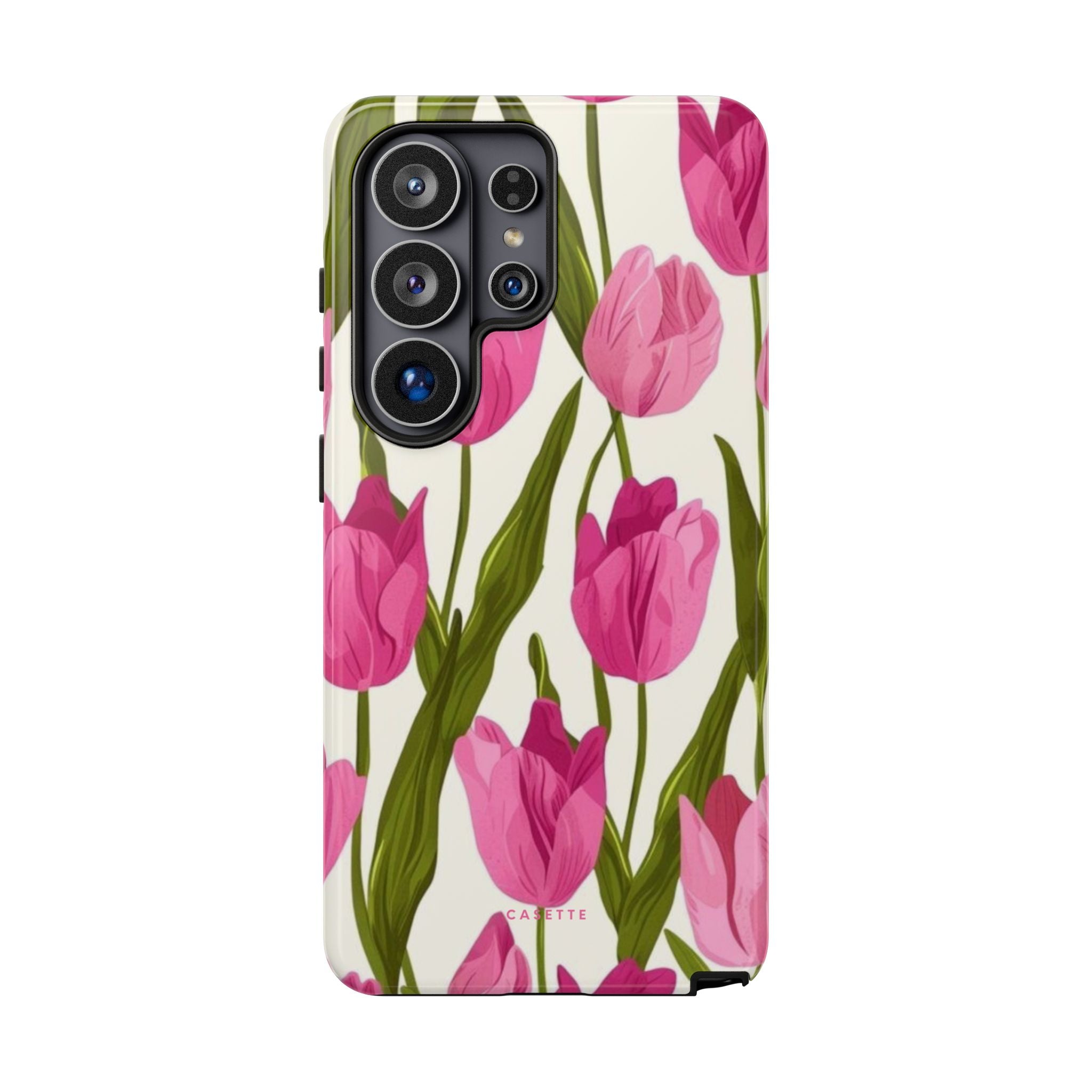 Tulipa
