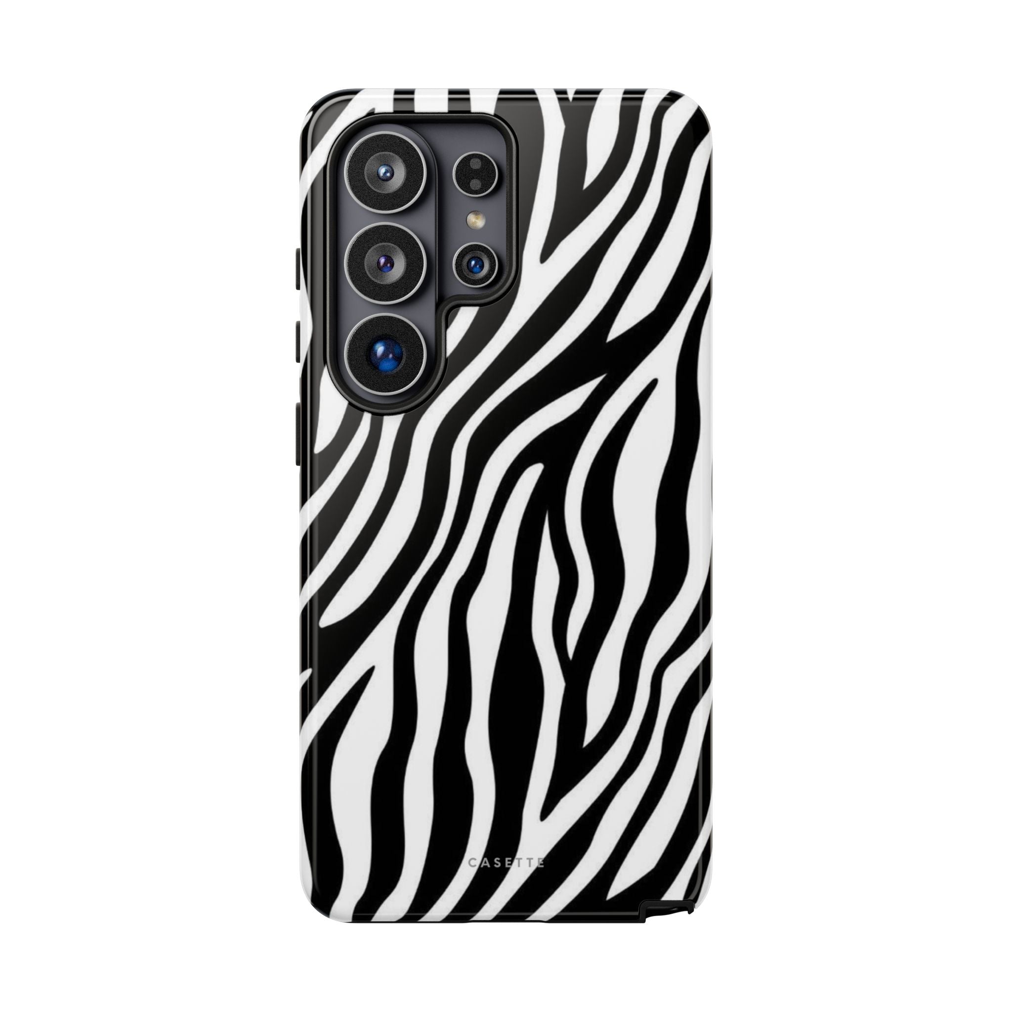 Zebra Era
