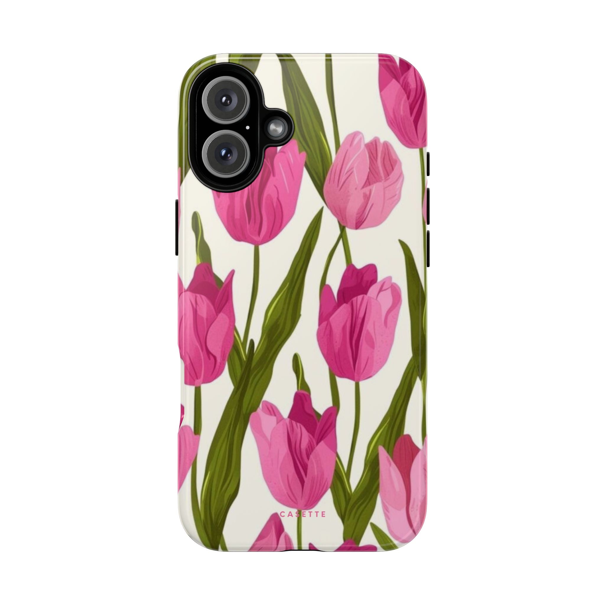 Tulipa