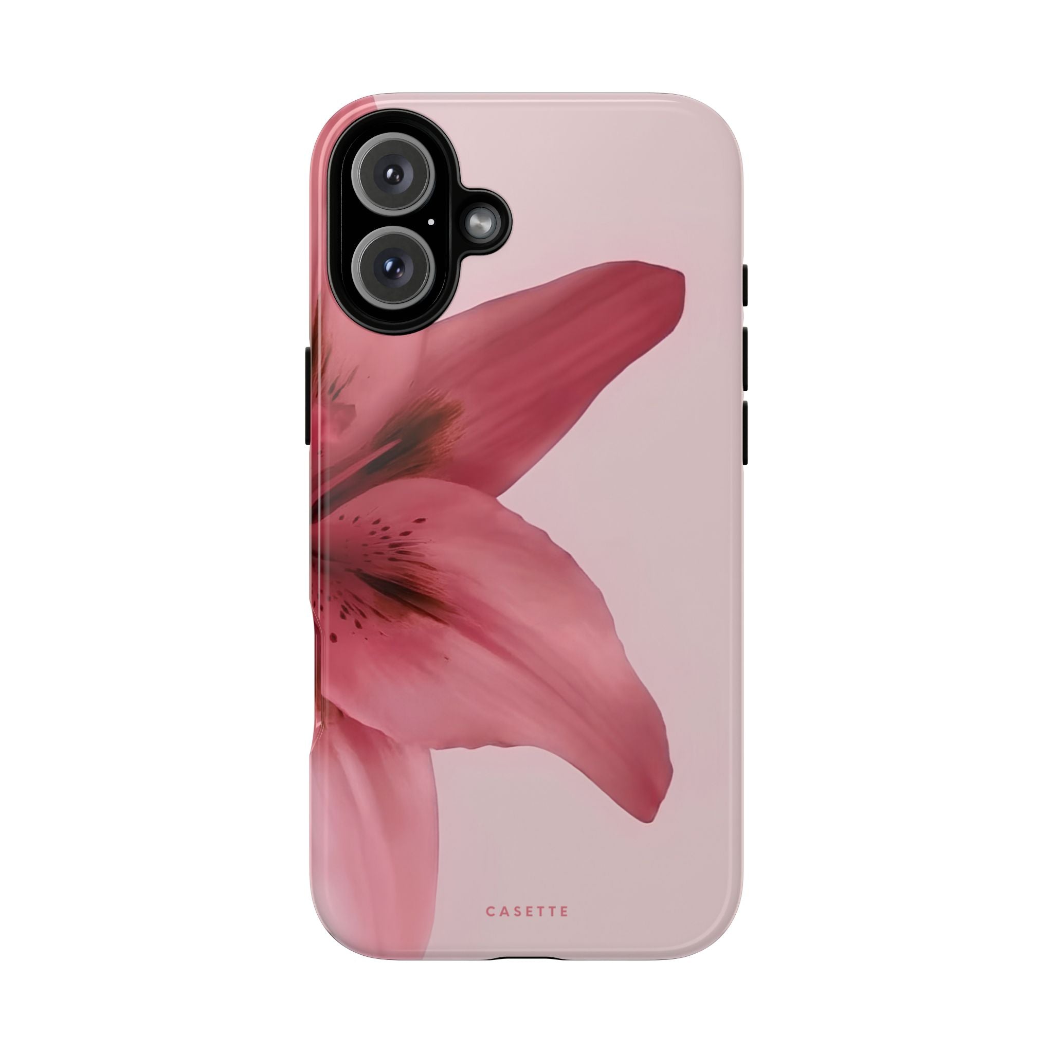 Lilium