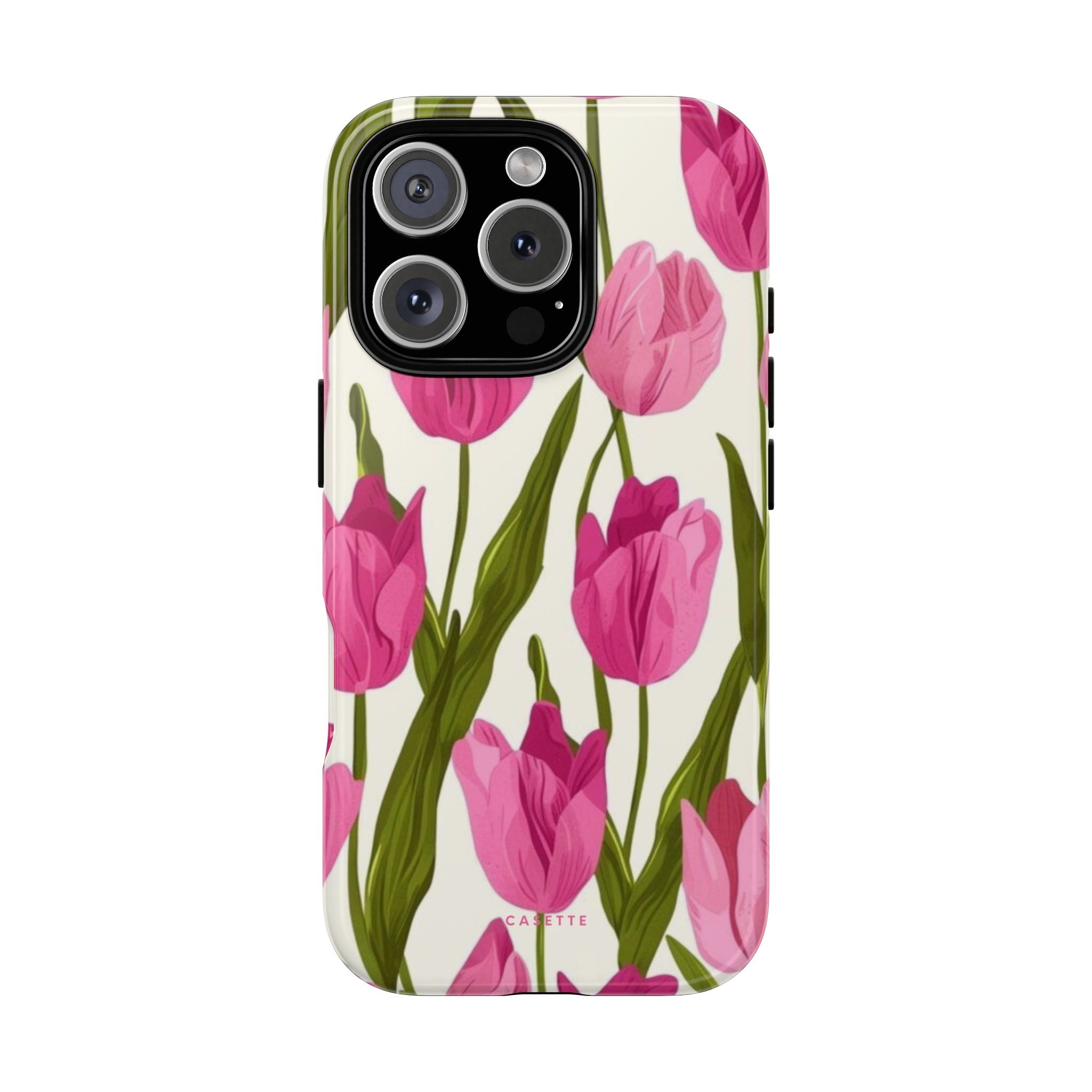 Tulipa