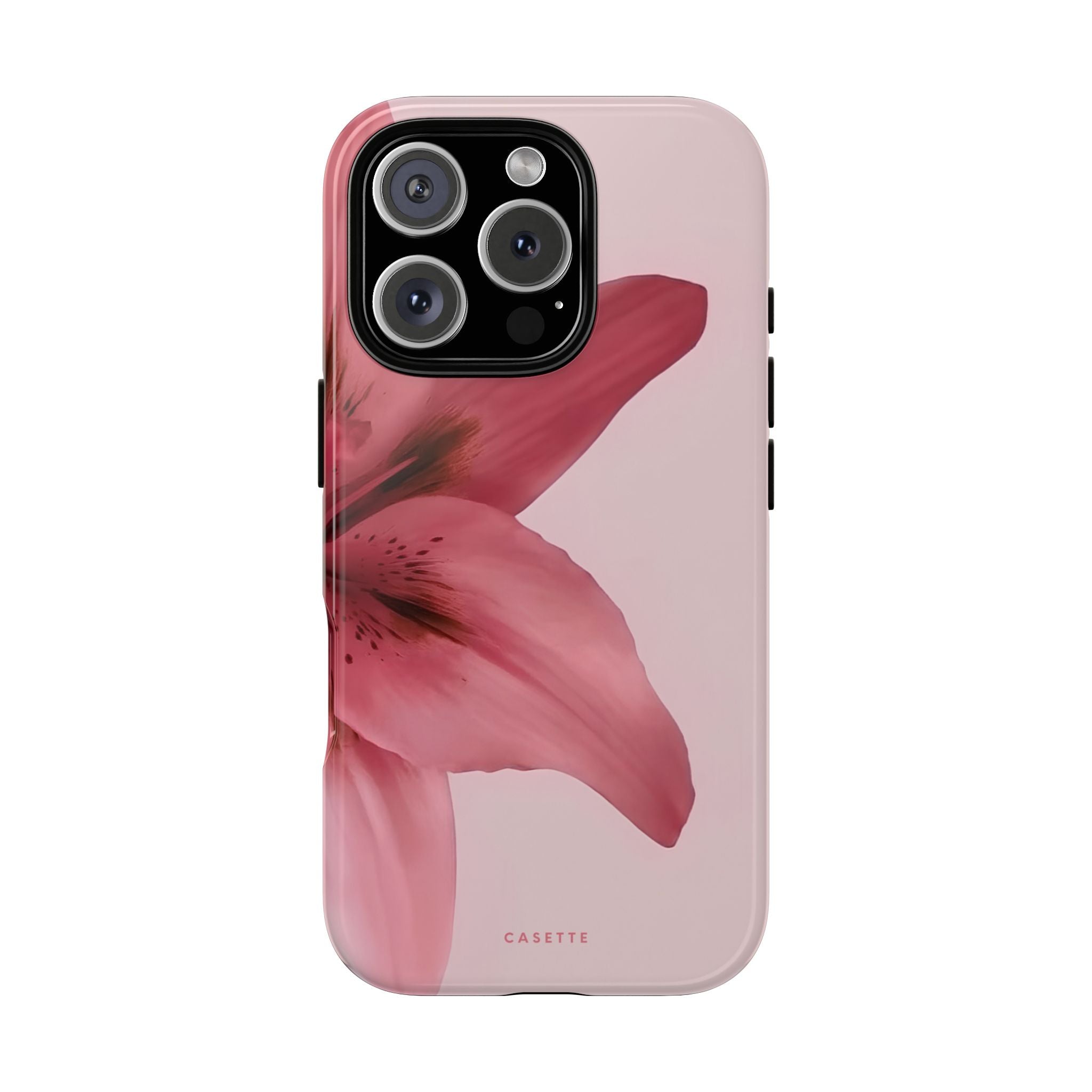 Lilium