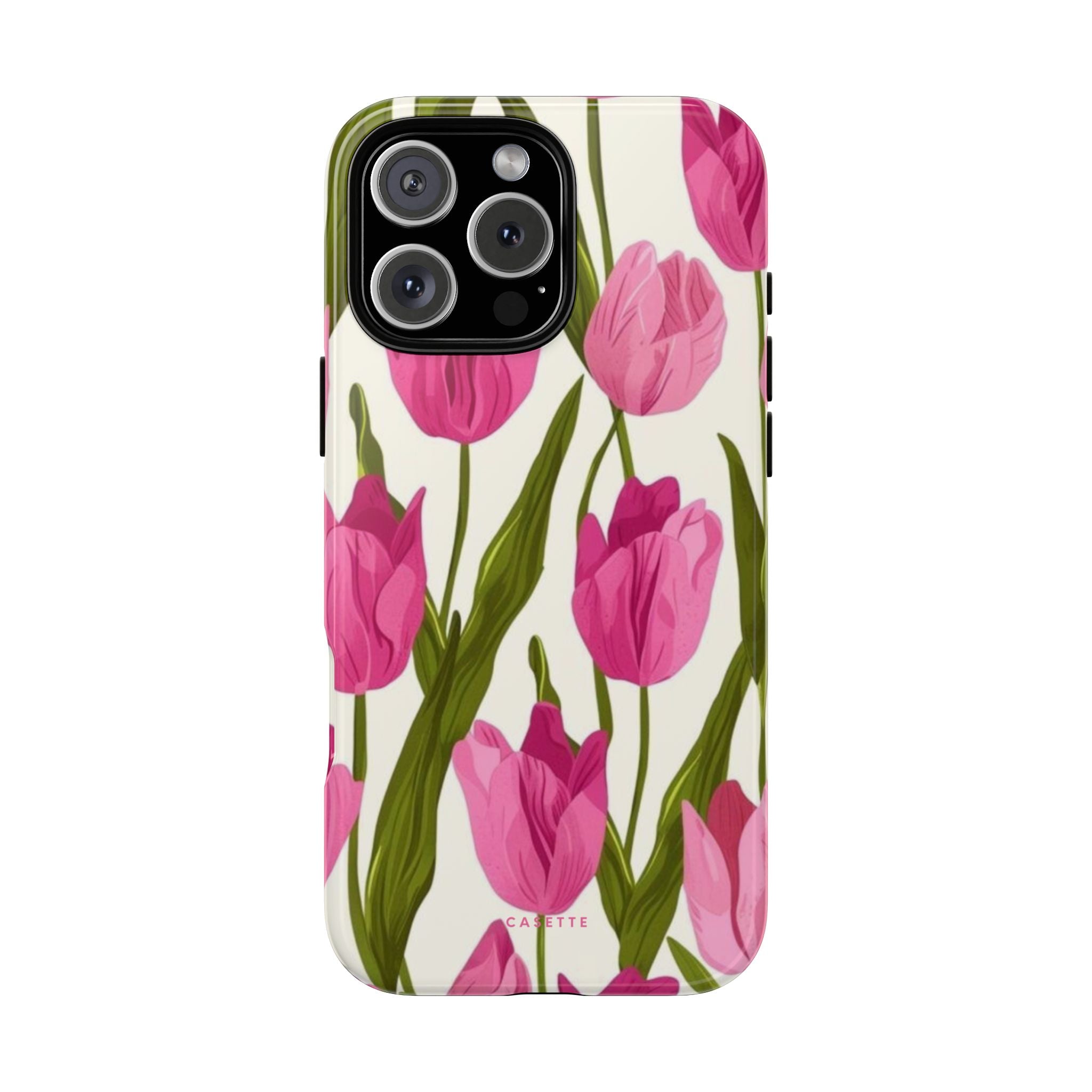 Tulipa