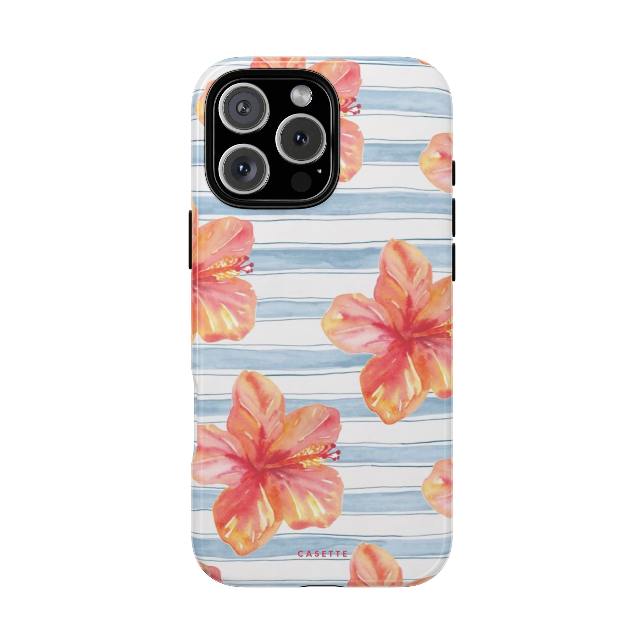 Hibiscus Haven