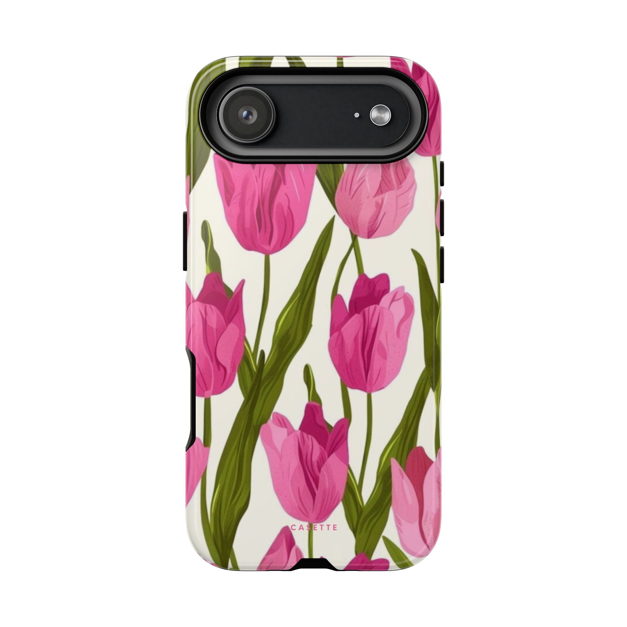 Tulipa