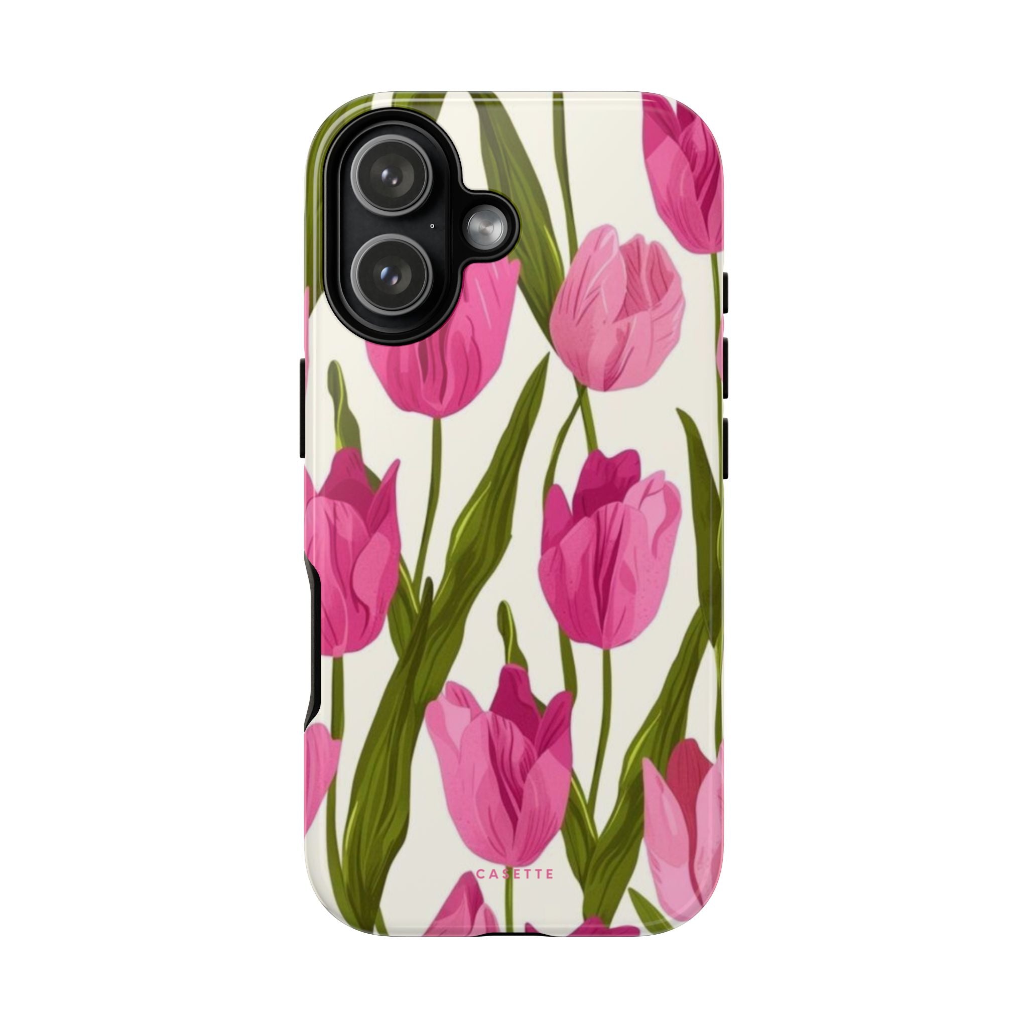 Tulipa