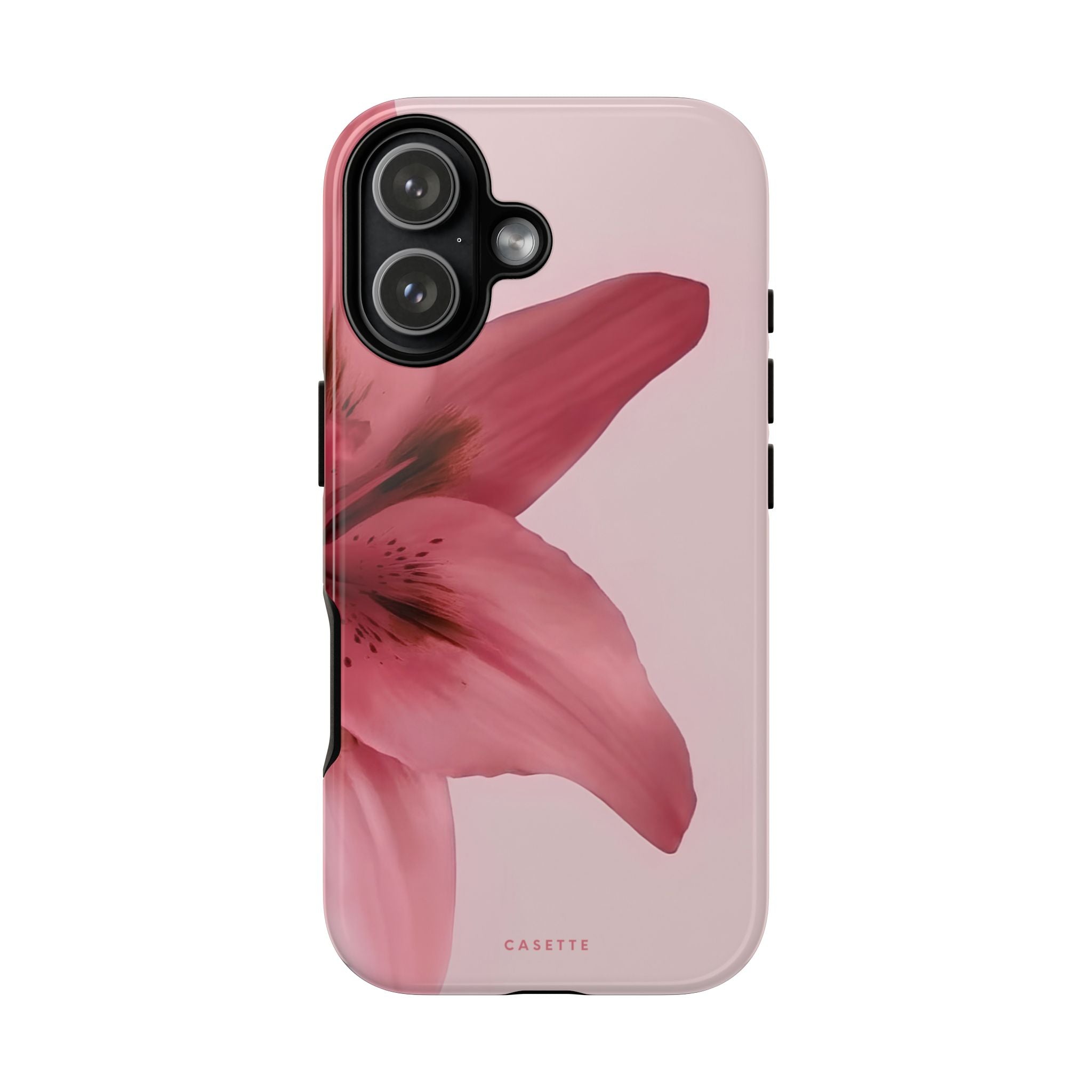 Lilium