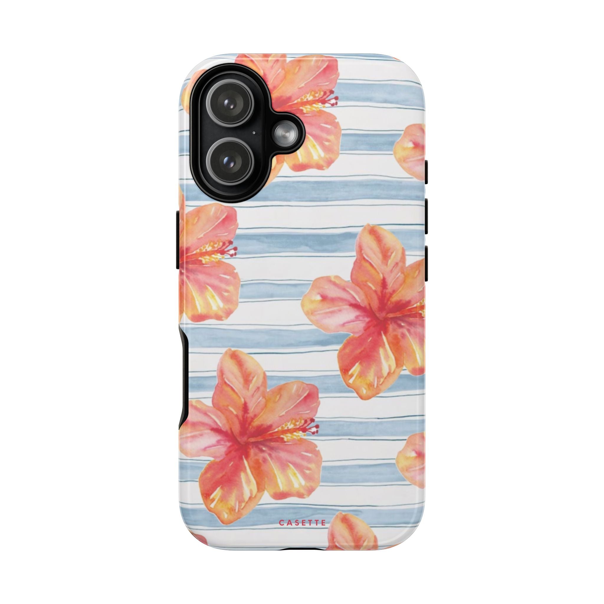 Hibiscus Haven