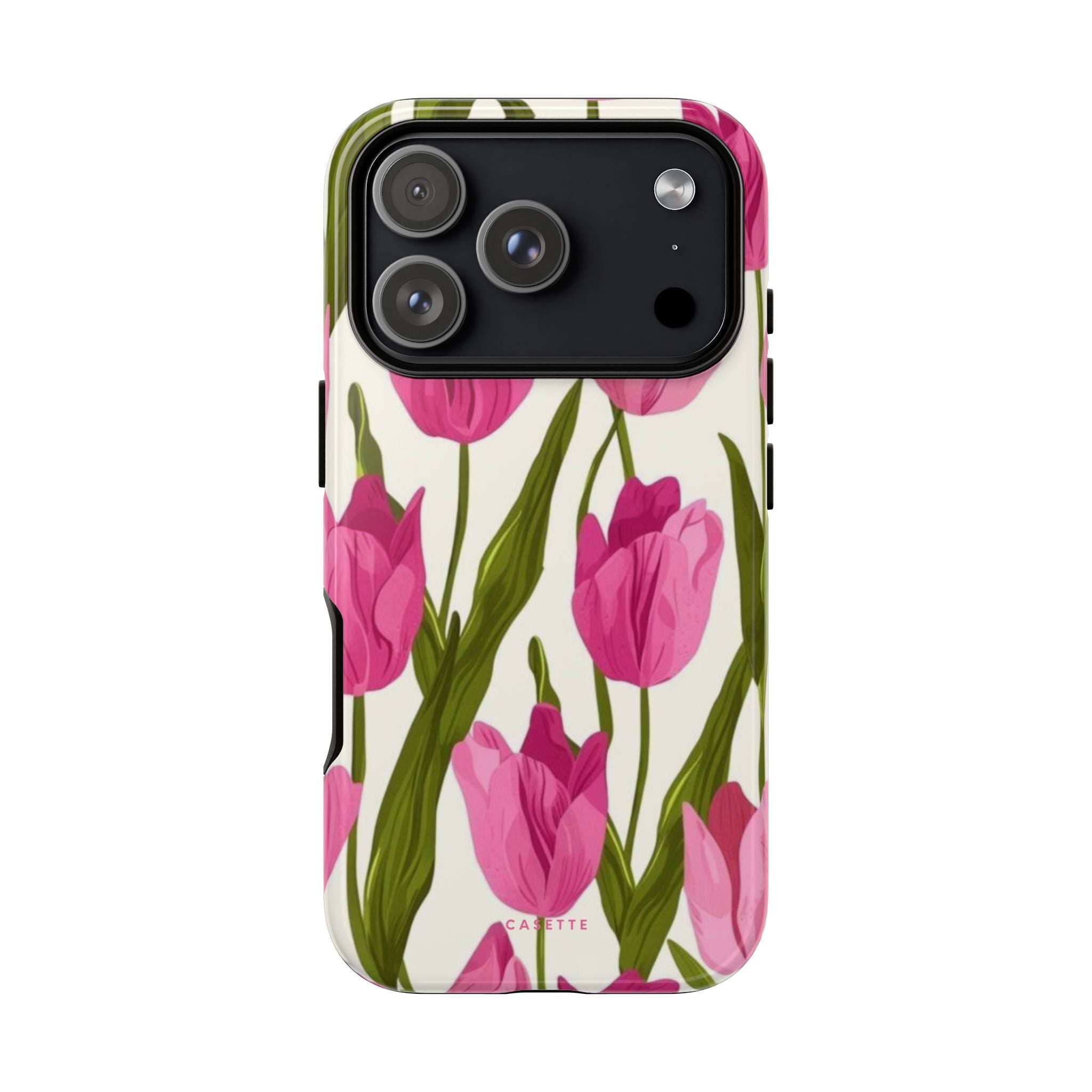 Tulipa